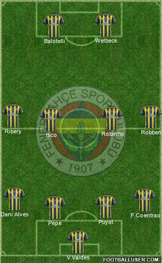 Fenerbahçe SK Formation 2013