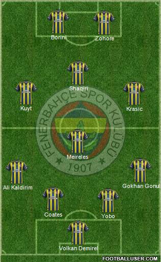 Fenerbahçe SK Formation 2013