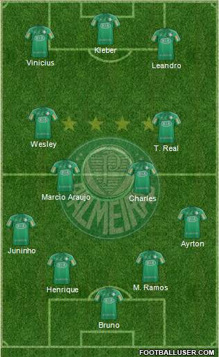 SE Palmeiras Formation 2013