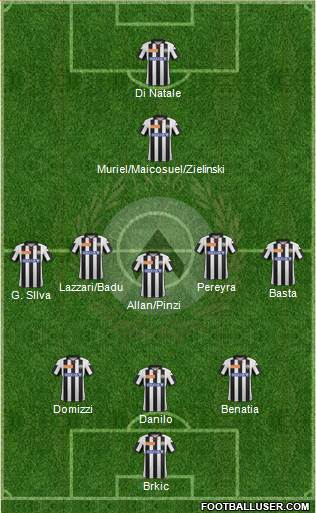 Udinese Formation 2013