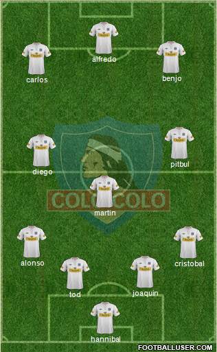 CSD Colo Colo Formation 2013