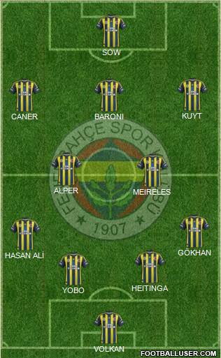 Fenerbahçe SK Formation 2013