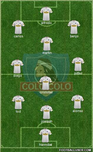 CSD Colo Colo Formation 2013