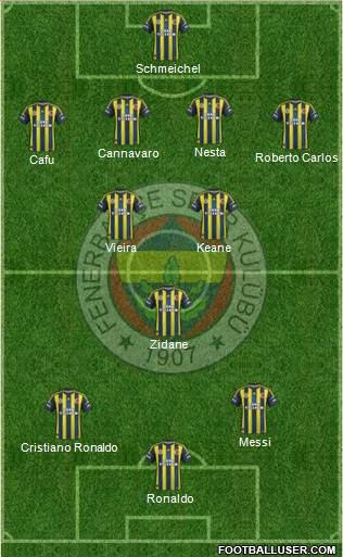 Fenerbahçe SK Formation 2013