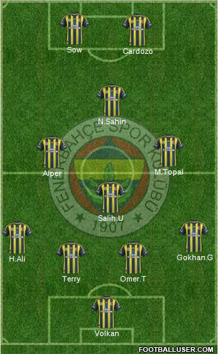 Fenerbahçe SK Formation 2013