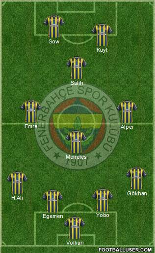 Fenerbahçe SK Formation 2013