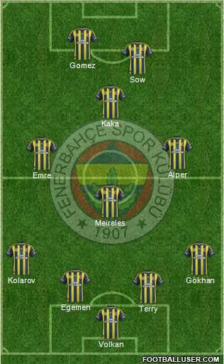Fenerbahçe SK Formation 2013