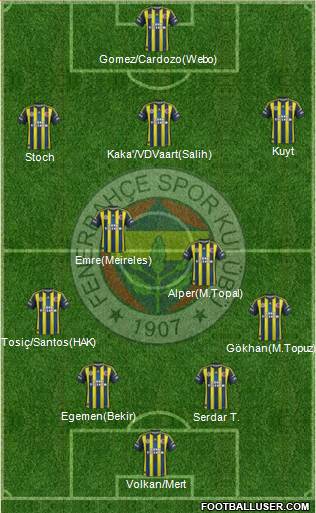 Fenerbahçe SK Formation 2013