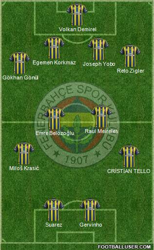 Fenerbahçe SK Formation 2013