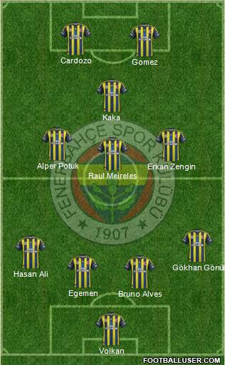 Fenerbahçe SK Formation 2013