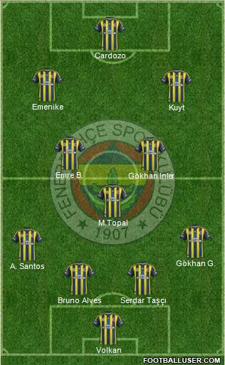 Fenerbahçe SK Formation 2013