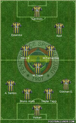 Fenerbahçe SK Formation 2013