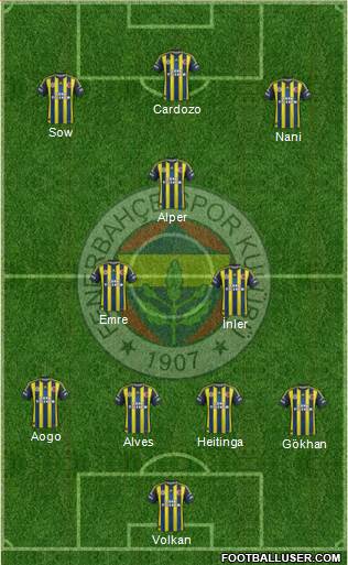 Fenerbahçe SK Formation 2013