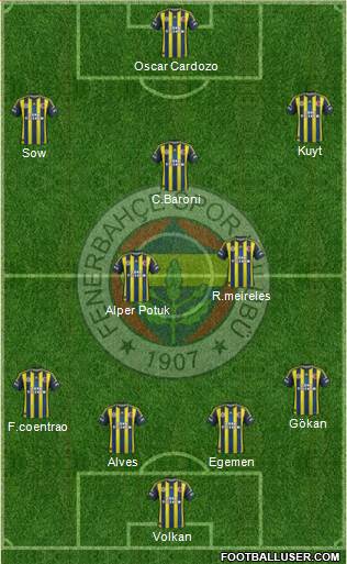 Fenerbahçe SK Formation 2013