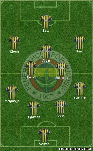 Fenerbahçe SK Formation 2013