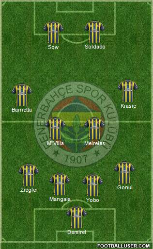 Fenerbahçe SK Formation 2013