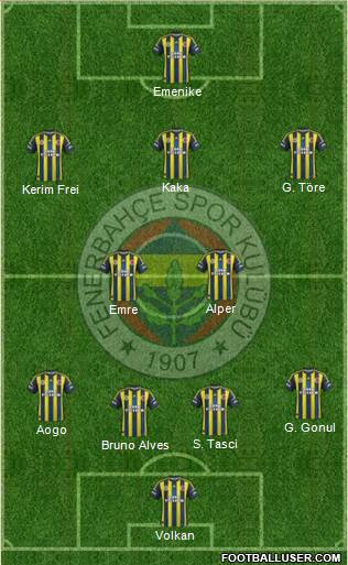 Fenerbahçe SK Formation 2013