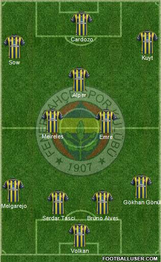 Fenerbahçe SK Formation 2013