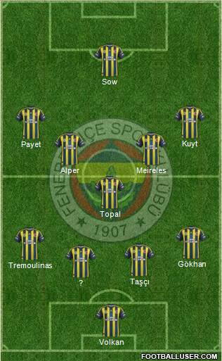 Fenerbahçe SK Formation 2013