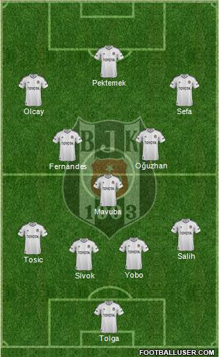 Besiktas JK Formation 2013