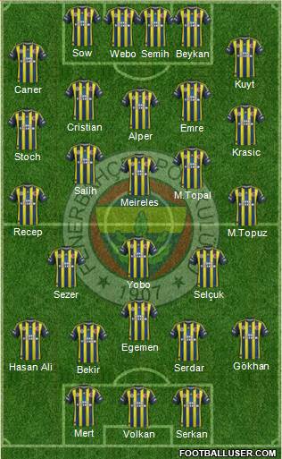 Fenerbahçe SK Formation 2013