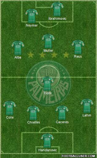 SE Palmeiras Formation 2013