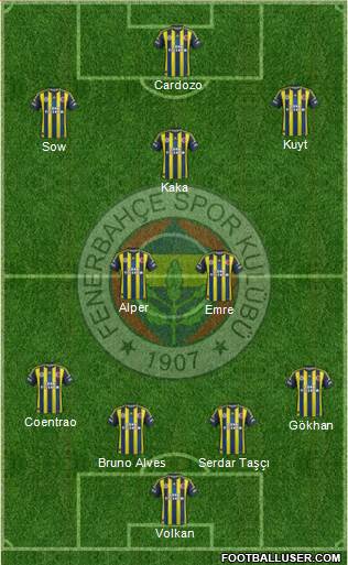 Fenerbahçe SK Formation 2013