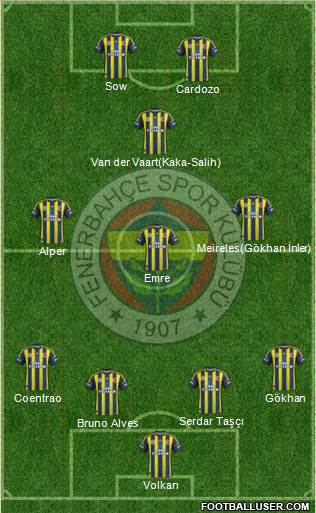 Fenerbahçe SK Formation 2013