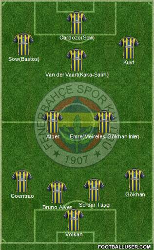 Fenerbahçe SK Formation 2013