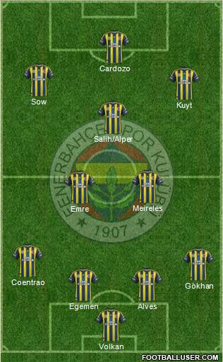Fenerbahçe SK Formation 2013