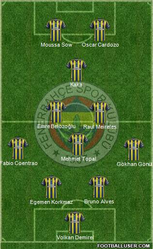 Fenerbahçe SK Formation 2013