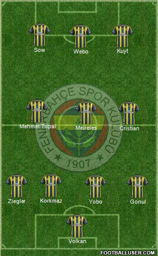 Fenerbahçe SK Formation 2013