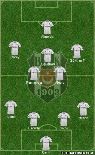 Besiktas JK Formation 2013