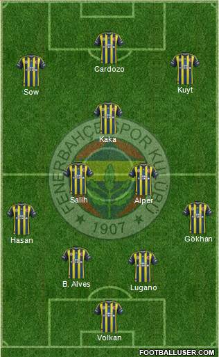 Fenerbahçe SK Formation 2013