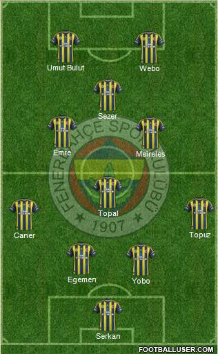 Fenerbahçe SK Formation 2013