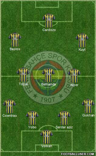 Fenerbahçe SK Formation 2013