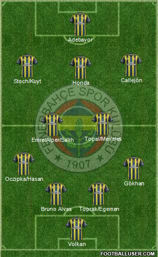 Fenerbahçe SK Formation 2013