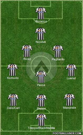 Udinese Formation 2013