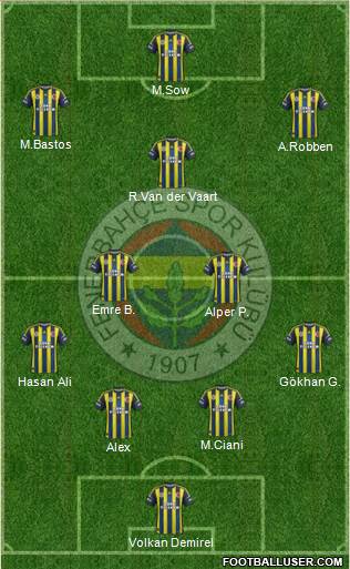 Fenerbahçe SK Formation 2013
