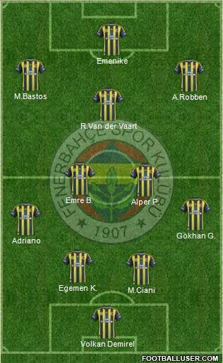 Fenerbahçe SK Formation 2013