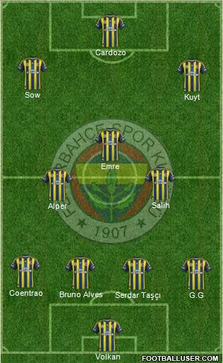 Fenerbahçe SK Formation 2013