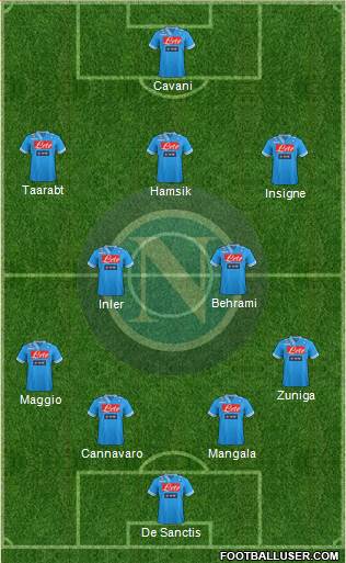 Napoli Formation 2013