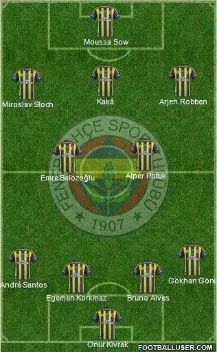 Fenerbahçe SK Formation 2013