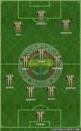 Fenerbahçe SK Formation 2013