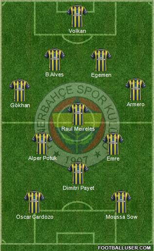 Fenerbahçe SK Formation 2013