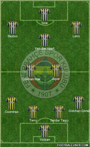 Fenerbahçe SK Formation 2013