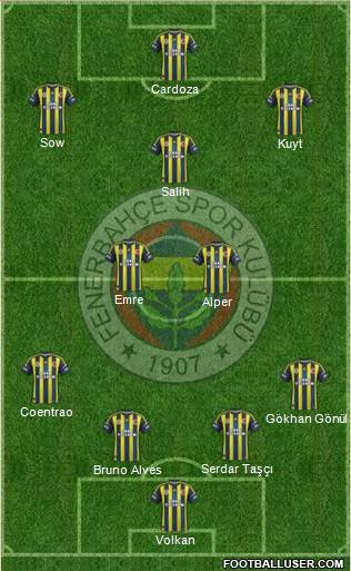 Fenerbahçe SK Formation 2013