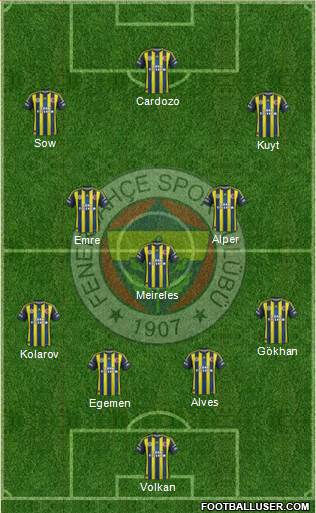 Fenerbahçe SK Formation 2013