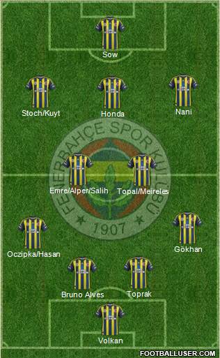 Fenerbahçe SK Formation 2013