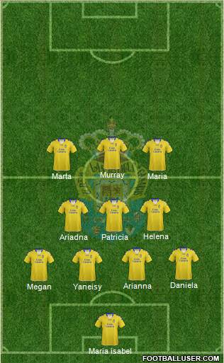 U.D. Las Palmas S.A.D. Formation 2013